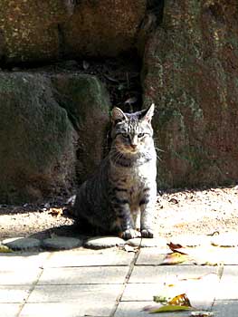 2007-0928-1e-m.jpg