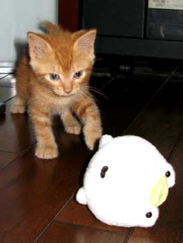2007-0929-1c-m.jpg