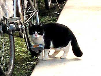 2007-1031-2a-m.jpg