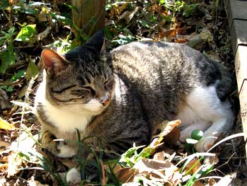 2007-1118-3a-m.jpg