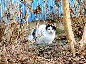 20071209-2a-m.jpg